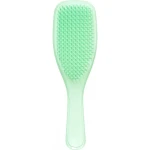 Tangle Teezer, The Wet Detangler Sparkle Hair Brush, Neo Mint - تانجل تيزر