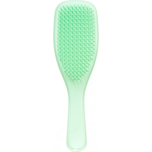 Tangle Teezer, The Wet Detangler Sparkle Hair Brush, Neo Mint Tangle Teezer, The Wet Detangler Sparkle Hair Brush, Neo Mint