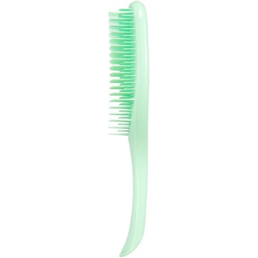 Tangle Teezer, The Wet Detangler Sparkle Hair Brush, Neo Mint - تانجل تيزر - Image 3