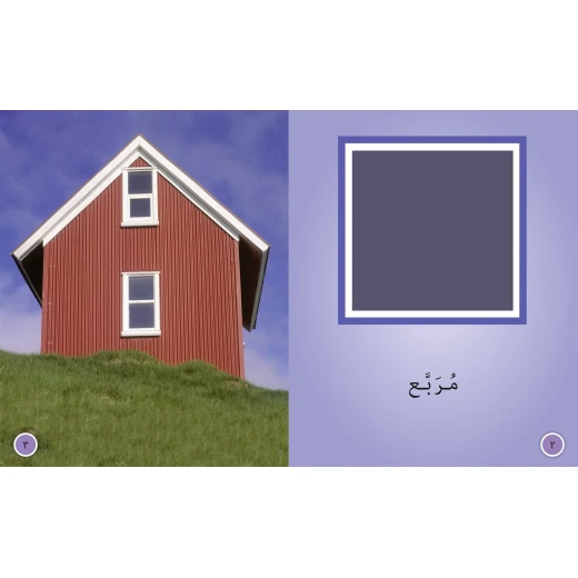 الاشكال - كولنز - كولينز بيج كات - Image 2