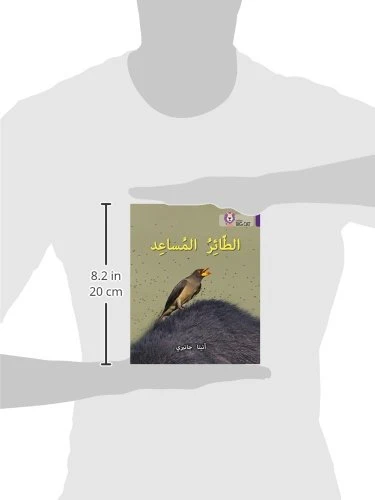 الطائر المساعد - كولنز - كولينز بيج كات - Image 3