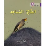 الطائر المساعد - كولنز - كولينز بيج كات