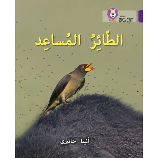 الطائر المساعد - كولنز الطائر المساعد - كولنز