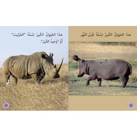 الطائر المساعد - كولنز - كولينز بيج كات - Image 2