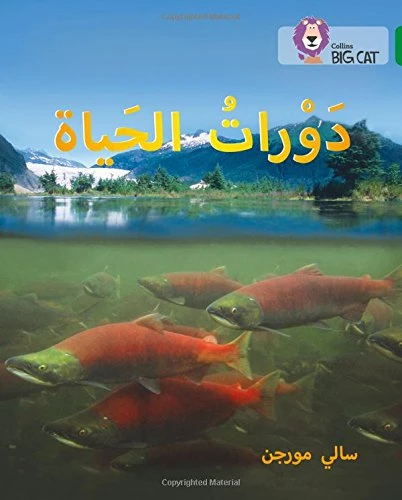 دورات الحياة - كولنز دورات الحياة - كولنز