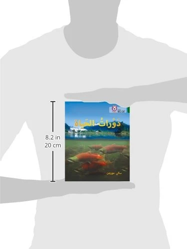 دورات الحياة - كولنز - كولينز بيج كات - Image 3