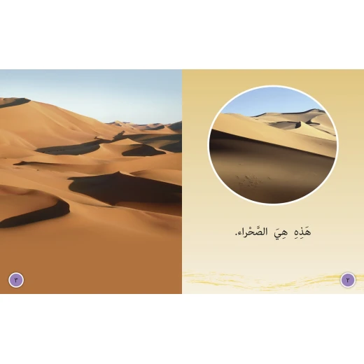 في الصحراء - كولنز - كولينز بيج كات - Image 2