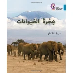 هجرة الحيوانات -  كولنز - كولينز بيج كات