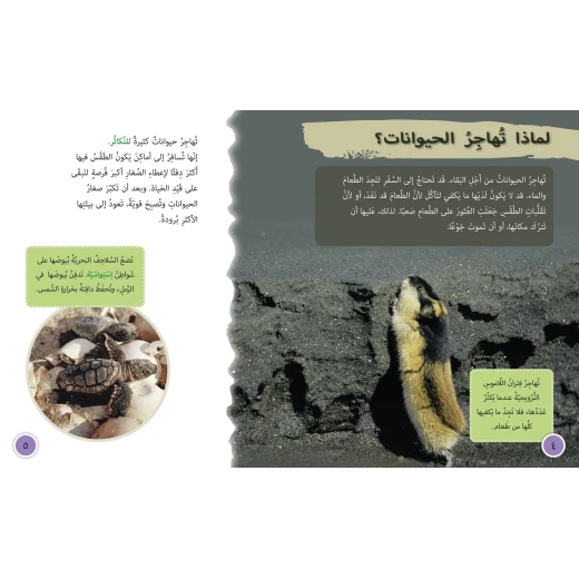 هجرة الحيوانات -  كولنز - كولينز بيج كات - Image 3