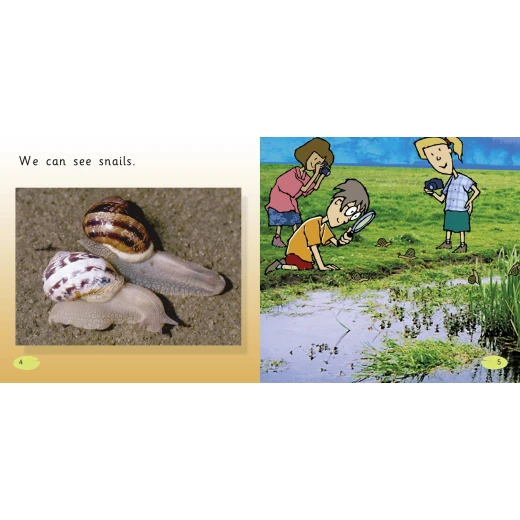 Collins big cat - The Pond - كولينز بيج كات - Image 3