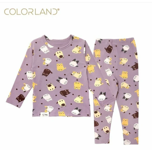 Colorland 2 pieces Set for all season 24-36 Months Colorland 2 pieces Set for all season 24-36 Months
