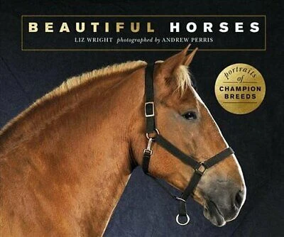 Beautiful Horses Book Beautiful Horses Book