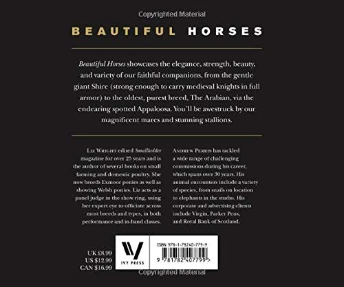 Beautiful Horses Book - Image 2