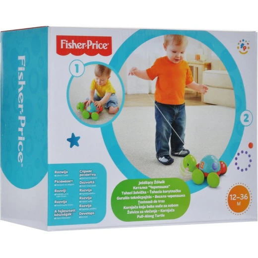 سلاحف فيشر برايس بول ألونج سلاحف فيشر برايس بول ألونج