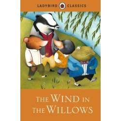 Let's Celebrate - Read It Yourself with Ladybird Level 2 (English) Hardcover