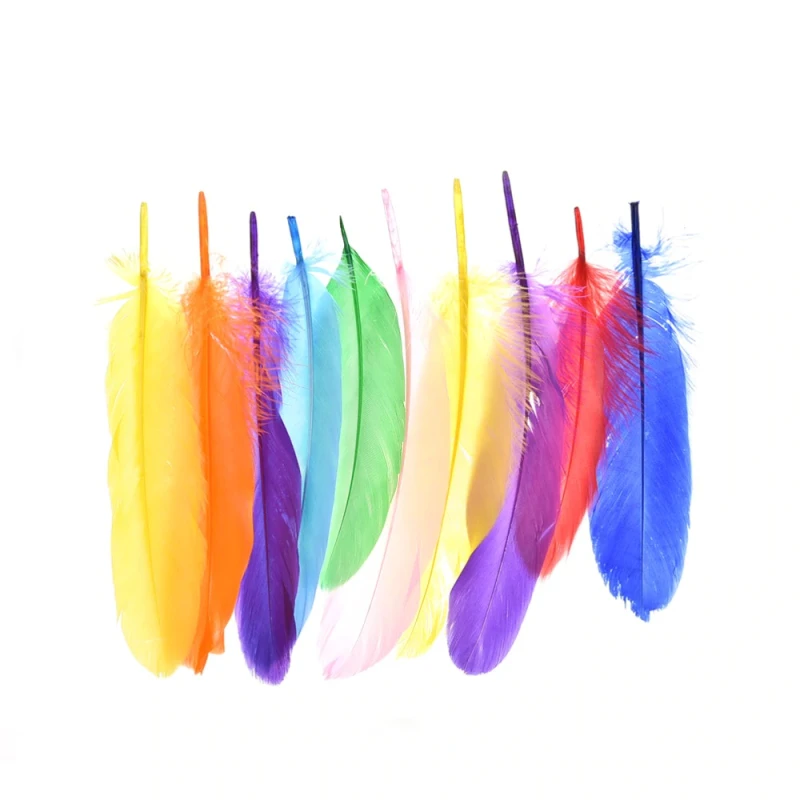 Foska Colored feathers set - فوسكا