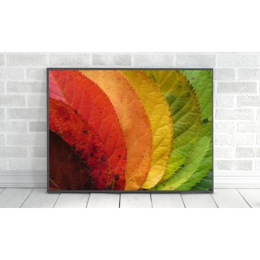 ExtraOrdinary Decorative Wood Framed Wall Art Prints, Mix Fall Posters, A3 size ExtraOrdinary Decorative Wood Framed Wall Art Prints, Mix Fall Posters, A3 size