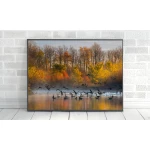ExtraOrdinary Decorative Wood Framed Wall Art Prints, Mix Fall Posters, A4 size - إكسترا أورديناري