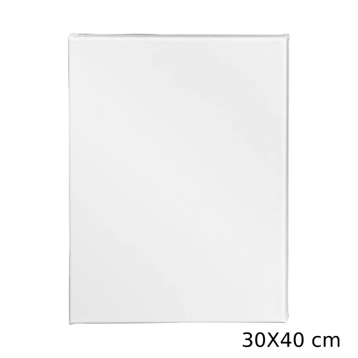 لوحة قماشية من أميجو 30X40سم لوحة قماشية من أميجو 30X40سم