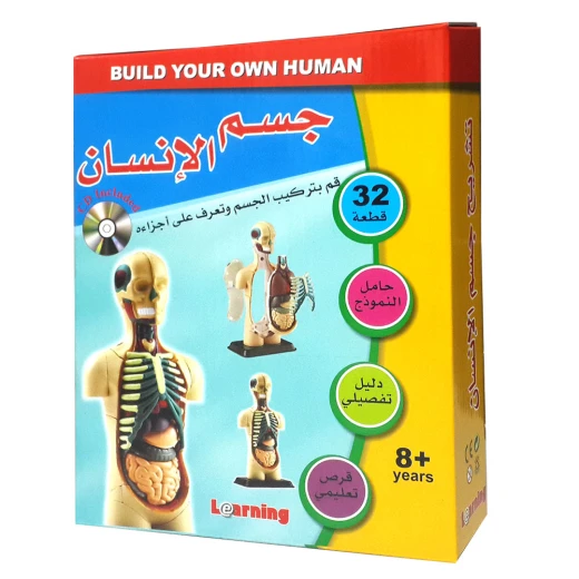 Anatomy – Human Body Anatomy – Human Body