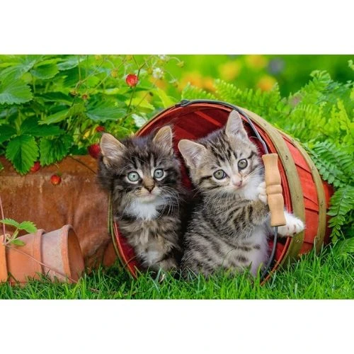 Ravensburger Puzzle Kitten Adventures (2X12pc) - رافينسبرغر - Image 2