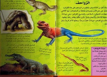 (اكتشف مع التلسكوب ثلاثي الأبعاد (الزواحف - دار المعارف - Image 2