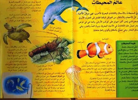 (اكتشف مع التلسكوب ثلاثي الأبعاد (عالم المحيطات - دار المعارف - Image 2
