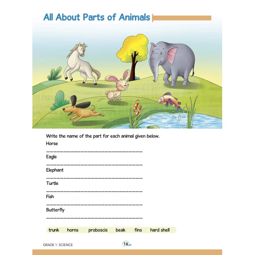 Smart Scholars Grade 1 - Science - او ام - Image 5