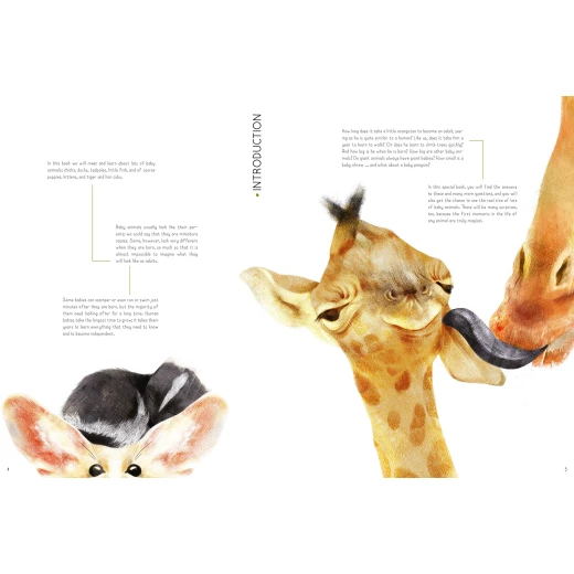 White Star - 100% Full Size Baby Animals - وايت ستار - Image 3