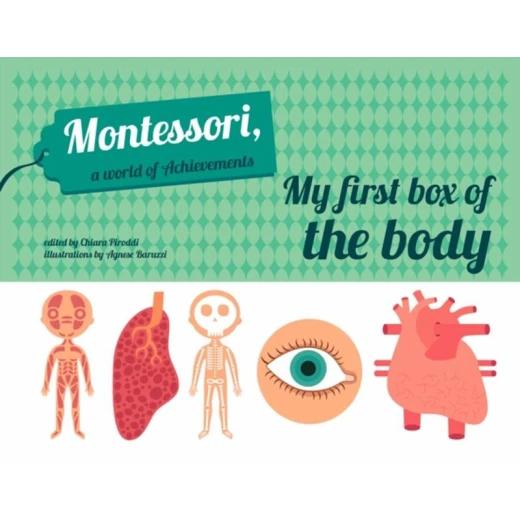 White Star - My First Box of the Body - Montessori World of Achievements White Star - My First Box of the Body - Montessori World of Achievements