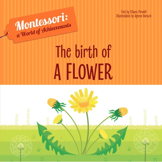 White Star - Birth of a Flower - Montessori: A World of Achievements White Star - Birth of a Flower - Montessori: A World of Achievements
