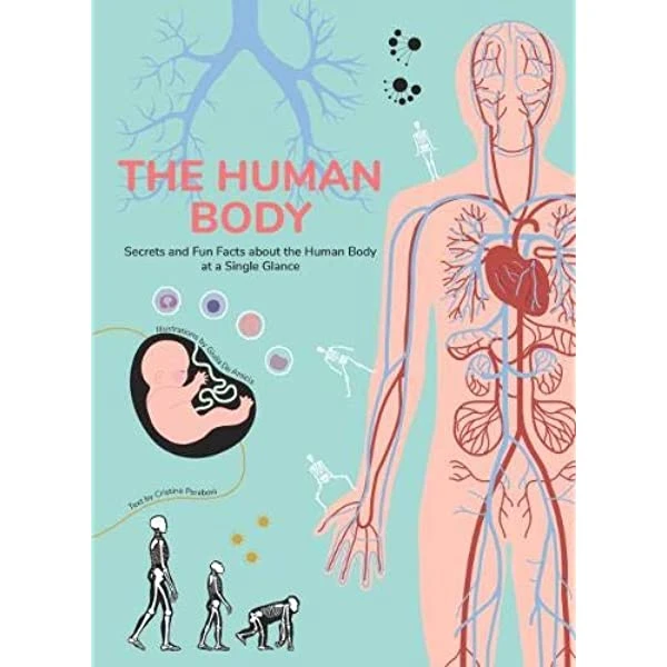 White Star - Human Body : Secrets and Fun Facts About the Human Body at a Single Glance - وايت ستار
