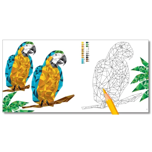 White Star - Wild Jungle: Color by Numbers Geometrical Artworks - وايت ستار - Image 2