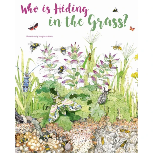White Star - Who is Hiding in the Grass? White Star - Who is Hiding in the Grass?