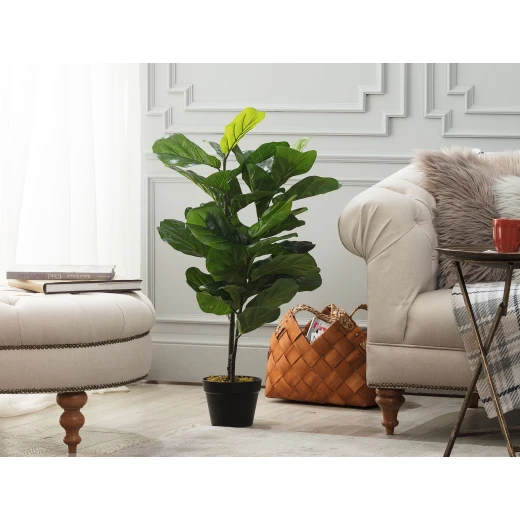 Madame Coco - Joncher Potted Plant, 100 cm Madame Coco - Joncher Potted Plant, 100 cm