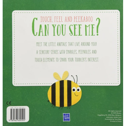 Yoyo Book - Can You See Me: Frog - كتب يويو - Image 2