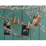 Madame Coco - Angelic Mini Latch Set, Gold - مدام كوكو