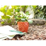 Madame Coco - Quilted Patterned Flower Pot Small, Terra Cotta - مدام كوكو
