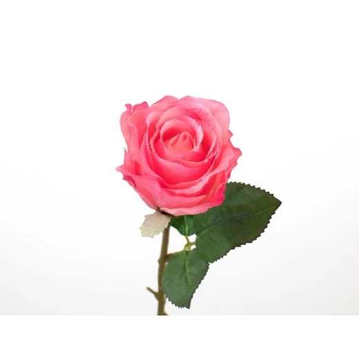 Madame Coco - Rose Artificial Flower - مدام كوكو - Image 2