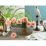 Madame Coco - Betta Gerbera Flower - Peach Pink - مدام كوكو