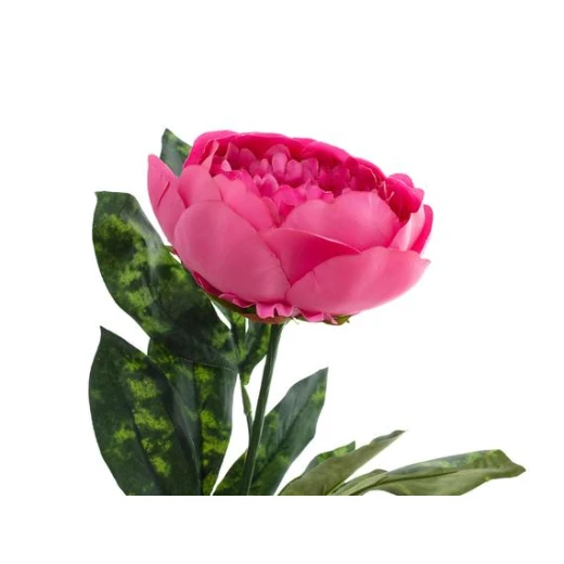 Madame Coco - Peony  Artificial Flower, Beauty - مدام كوكو - Image 2