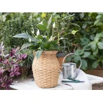 Madame Coco - Evelyn Flower Pot - Camel - مدام كوكو