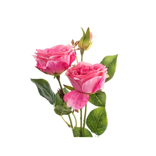 Madame Coco - La Bambola Rose, Pink - مدام كوكو - Image 3