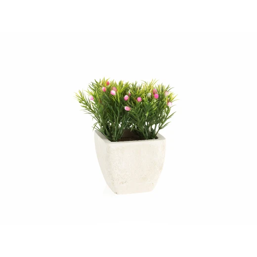 Madame Coco - Minion Rose Pot With Plant, Pink - مدام كوكو - Image 2