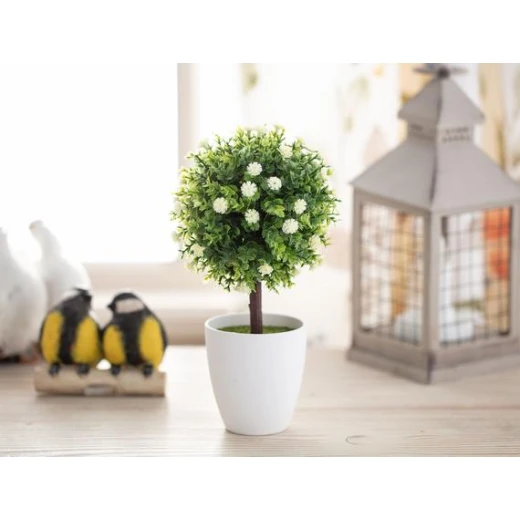 Madame Coco - Patrıce Pot Wıth Plant
