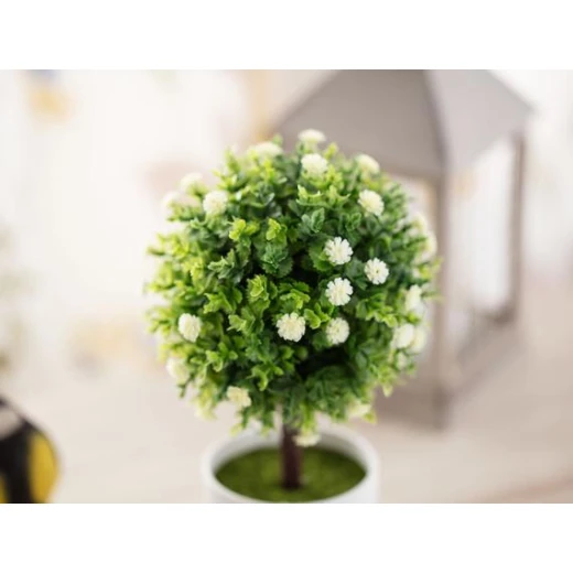 Madame Coco - Patrıce Pot Wıth Plant - مدام كوكو - Image 2