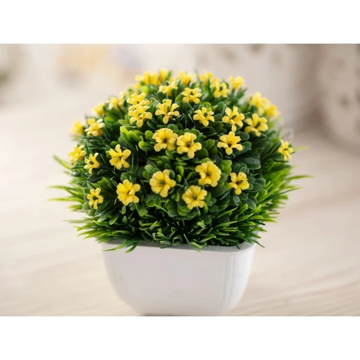 Madame Coco - Sorel Pot Wıth Plant, Yellow - مدام كوكو - Image 2