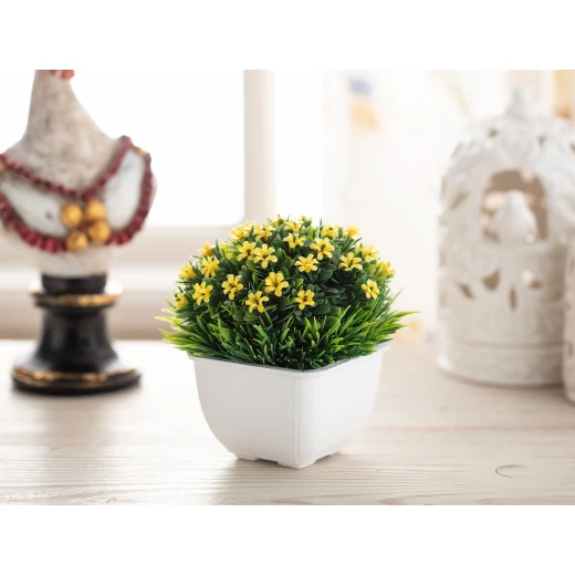 Madame Coco - Sorel Pot Wıth Plant, Yellow