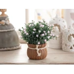 Madame Coco - Royal Pot With Plant, Green - مدام كوكو