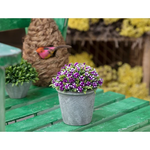 Madame Coco - Darcy Pot With Plant, Purple